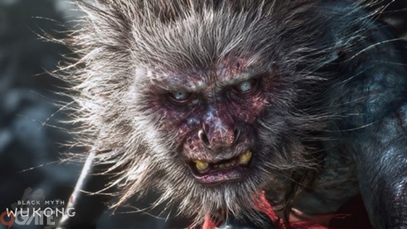Black Myth: Wukong tiếp tục được lấy ra làm chủ đề tranh cãi, nên tin đánh giá của chuyên gia hay lời khuyên từ cộng đồng game thủ?